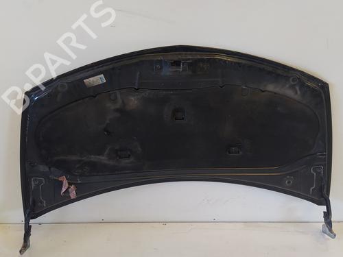Hood RENAULT CLIO III (BR0/1, CR0/1)  | BP12546319C1 