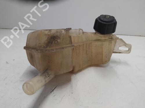 Expansion tank RENAULT SCÉNIC II (JM0/1_) 1.5 dCi (JM02, JM13) | BP10717073C120 