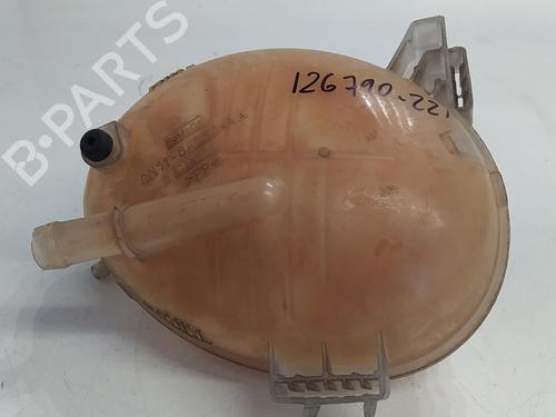 Used Expansion tank FORD FIESTA VII (HJ, HF) [2017-2025]  19141378