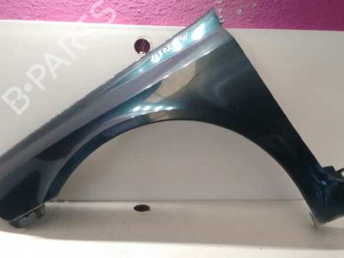 Used Left front fenders RENAULT LAGUNA II (BG0/1_) [2001-2007]  7061067