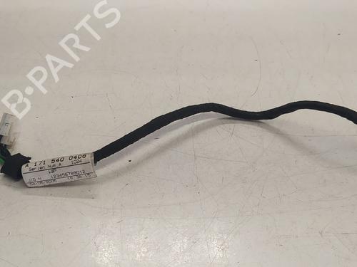 Used Electronic module MERCEDES-BENZ SLK (R171) 200 Kompressor (171.442) (163 hp) 16671518