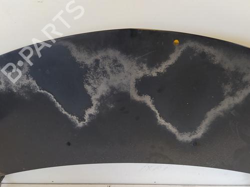 Hood RENAULT CLIO III (BR0/1, CR0/1)  | BP12546319C1 