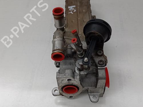 Egr AUDI A3 (8P1) 2.0 TDI 16V | BP25824057M69 