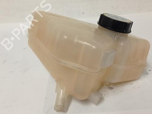 Expansion tank FORD FIESTA VI (CB1, CCN) 1.4 TDCi | BP8602466C120 