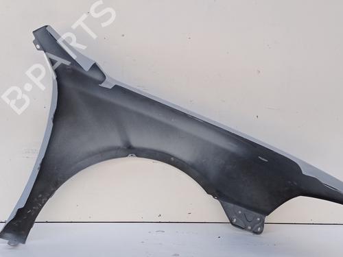 Left front fenders SKODA OCTAVIA II (1Z3) 1.9 TDI | BP16906466C41 