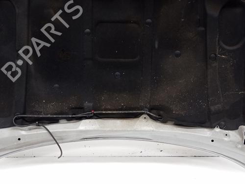 Hood ROVER 45 I Hatchback (RT)  | BP28724117C1