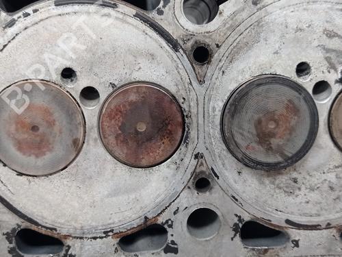 Cylinder head VW SHARAN (7M8, 7M9, 7M6) 1.9 TDI | BP10978443M5 