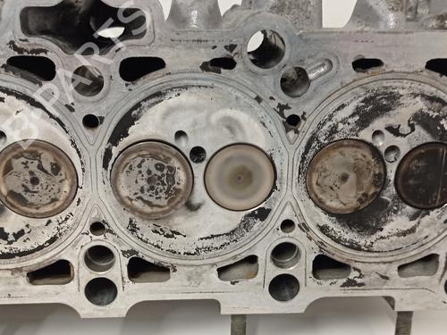 Cylinder head SEAT IBIZA II (6K1) 1.9 SDI | BP10978431M5 