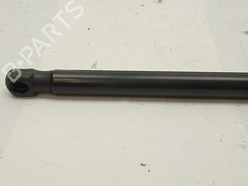 Hood lift support AUDI A4 B8 (8K2)  | BP14167527C139 