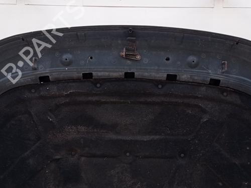 Hood LAND ROVER DISCOVERY III (L319)  | BP27367692C1 
