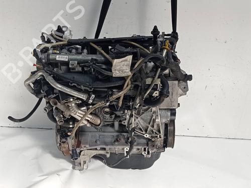 Motor für Motor FIAT GRANDE PUNTO (199_) 1.3 D Multijet (75 hp) 34401014 34401014