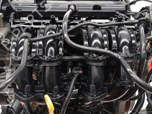 Engine FORD FIESTA VI (CB1, CCN) 1.4 | BP31828492M1