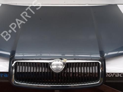 Hood SKODA FABIA I (6Y2)  | BP16816059C1 