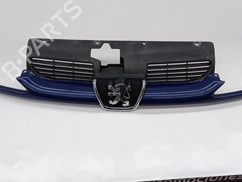Gitter für PEUGEOT 206 Hatchback (2A/C) 1.9 D (69 hp) 18169790
