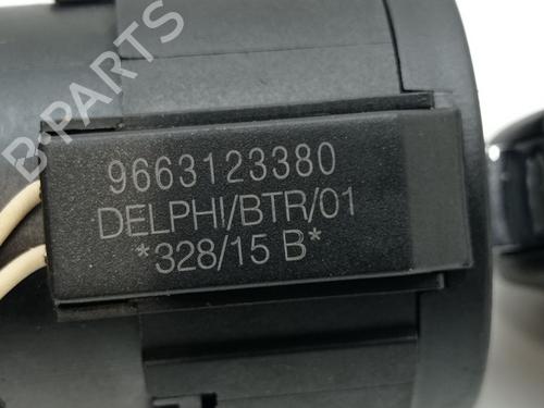 Ignition barrel PEUGEOT 308 II (LB_, LP_, LW_, LH_, L3_)  | BP29399424M48 