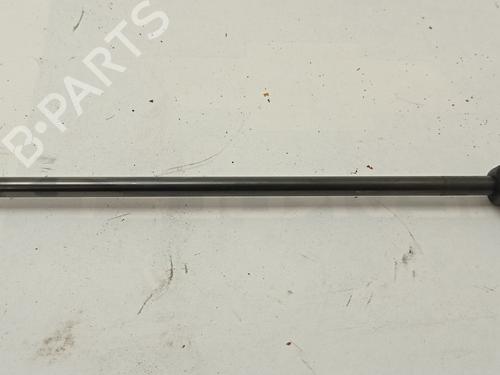 Hood lift support AUDI A4 B8 (8K2)  | BP14167527C139 