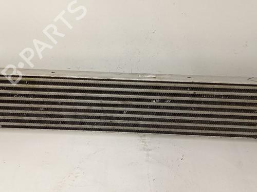 Used Intercooler FIAT SEDICI (189_) 1.9 D Multijet 4x4 (120 hp) 18682991