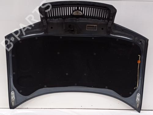 Hood SKODA FABIA I (6Y2)  | BP16816059C1 