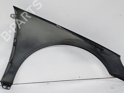 Left front fenders MERCEDES-BENZ R-CLASS (W251, V251) R 280 CDI (251.121, 251.026, 251.126) | BP15730820C41 