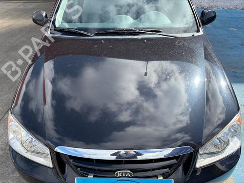 Used Hood Hood 39193415 39193415