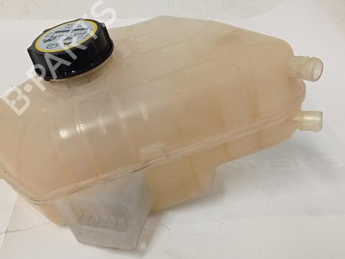 Expansion tank FORD FIESTA VI (CB1, CCN) 1.4 TDCi | BP8602466C120 