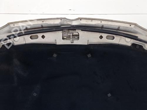 Hood VW GOLF IV (1J1)  | BP26123036C1 