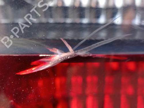 Left taillight OPEL ASTRA G Coupe (T98) 2.2 DTI (F07) | BP18784744C34 