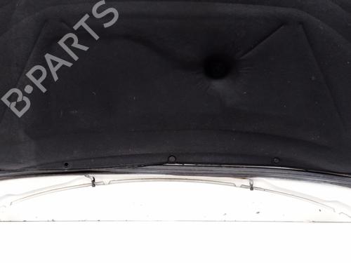 Hood CITROËN BERLINGO / BERLINGO FIRST MPV (MF_, GJK_, GFK_) 1.9 D (MFWJZ) | BP24237431C1 