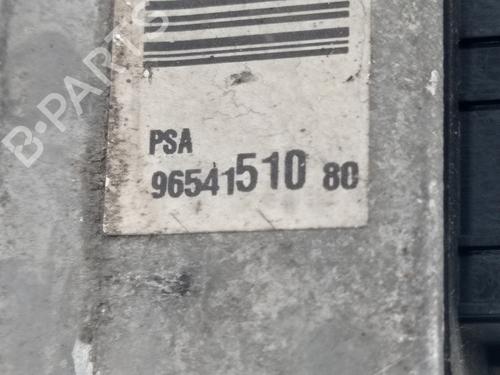 Styring servopumpe PEUGEOT 307 (3A/C) 2.0 HDi 90 | BP29915246M99