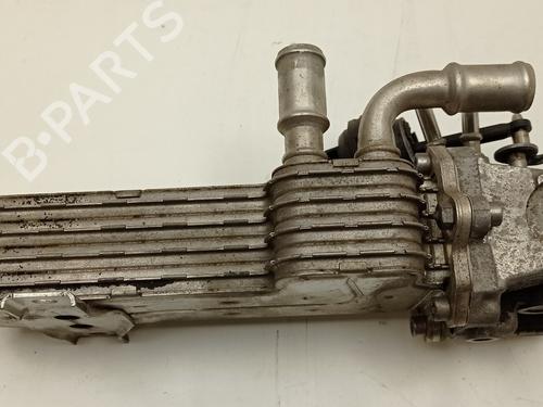 Egr VW PASSAT B6 (3C2) | BP31138342M69