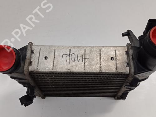 Intercooler SEAT EXEO ST (3R5) 2.0 TDI | BP20134161M30 