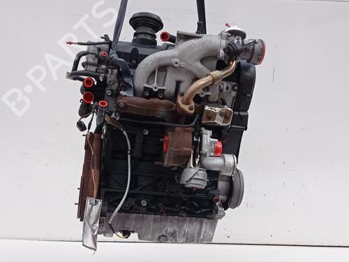 Used Engine VW GOLF IV (1J1) [1997-2008]  28130597