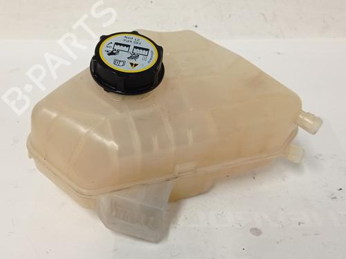 Used Expansion tank FORD FIESTA VI (CB1, CCN) 1.4 TDCi (70 hp) 8602466