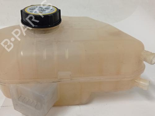 Expansion tank FORD FIESTA VI (CB1, CCN) 1.4 TDCi | BP8602466C120 