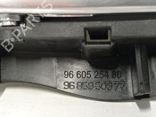 Rear left interior door handle CITROËN C4 II (NC_)  | BP10321456I15 