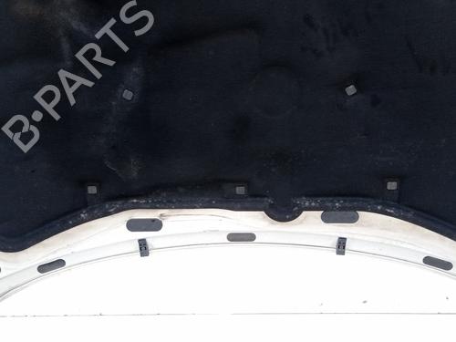 Hood VW GOLF IV (1J1)  | BP26123036C1 