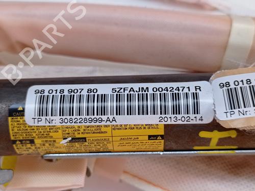 Left curtain airbag CITROËN C4 II (NC_)  | BP29505276C11 