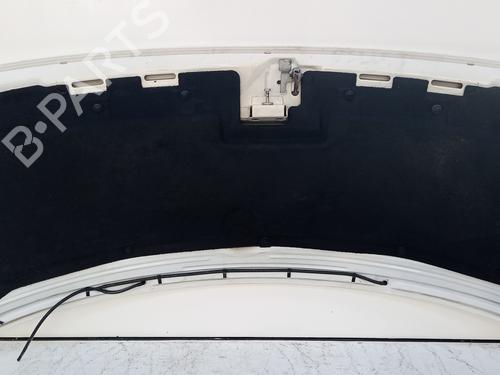 Hood PEUGEOT EXPERT Van (222) 1.9 D | BP10661718C1 