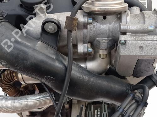 Engine SKODA FABIA I (6Y2)  | BP16836028M1 