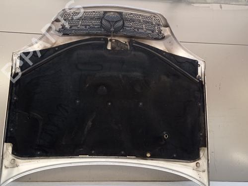 Hood MERCEDES-BENZ M-CLASS (W163) ML 400 CDI (163.128) | BP9769705C1 