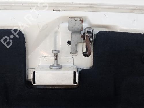 Hood PEUGEOT EXPERT Van (222) 1.9 D | BP10661718C1 