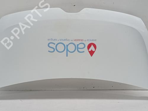 Used Hood RENAULT MASTER III Van (FV) 2.3 dCi 100 RWD (FV0B, FV0H, FV0K) (101 hp) 31975318