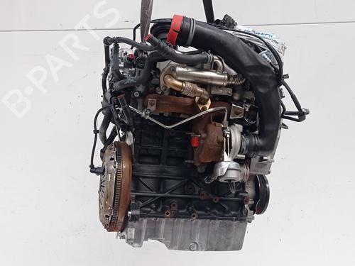 Used Engine SEAT IBIZA III (6L1) [2002-2009]  30594514