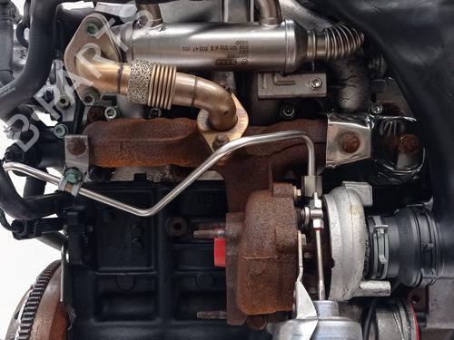 Engine SEAT IBIZA III (6L1)  | BP30594514M1 