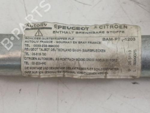 Front left seatbelt CITROËN C3 Picasso (SH_) 1.6 VTi 120 | BP40491357I26 - Image 6