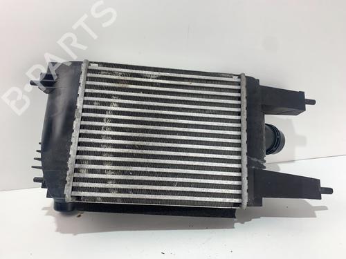 Intercooler Intercooler NISSAN JUKE (F15) 1.2 DIG-T (115 hp) 36919156 36919156