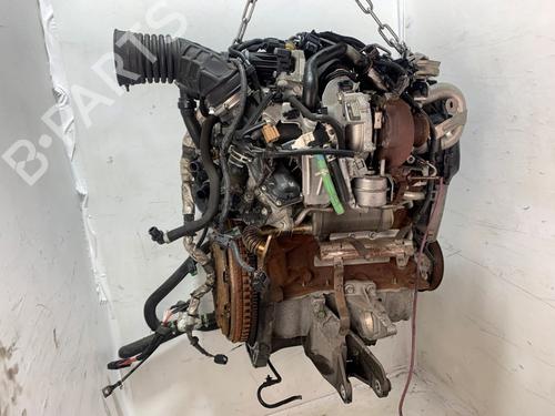 Engine NISSAN JUKE (F15) 1.5 dCi | BP36921347M1  - Image 5
