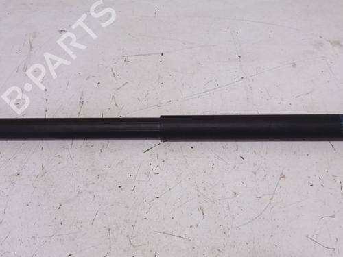 tailgate-lift-support-tesla-model-s-5yjs-2012-36925425 main image
