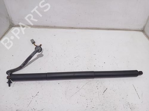 tailgate-lift-support-tesla-model-s-5yjs-2012-36925423 main image
