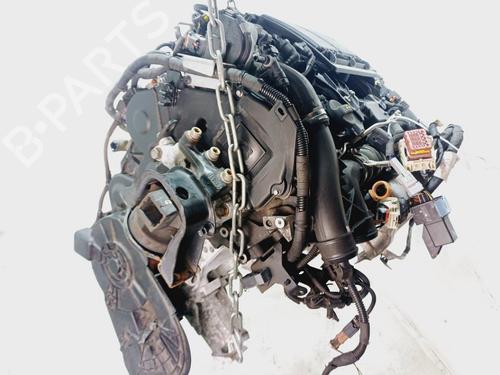 Used Engine Engine 36919519 36919519